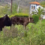 El Mirador De Biedes Сasa de vacaciones