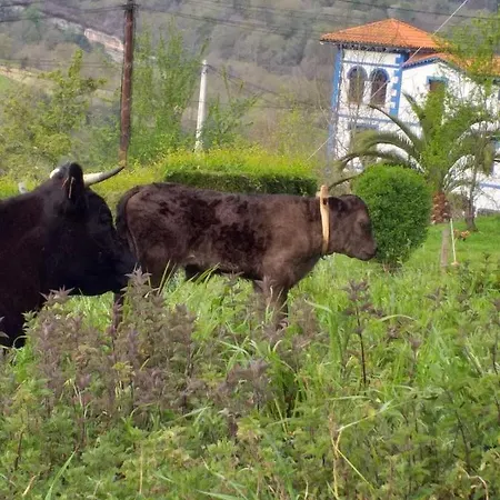 El Mirador De Biedes 펜션